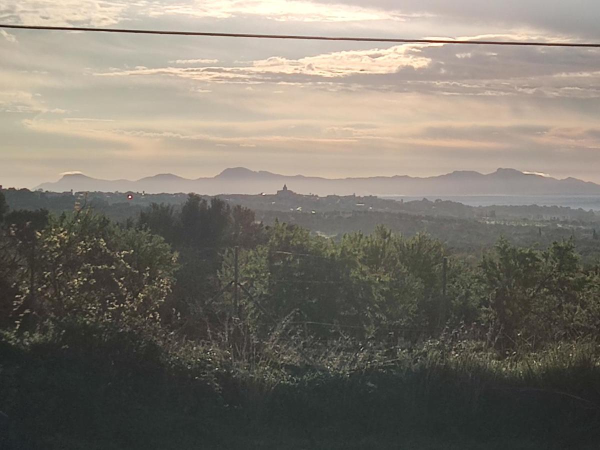 Agroturisme Subies Selva  Eksteriør bilde